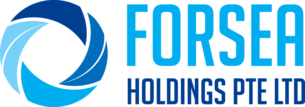 developer logo